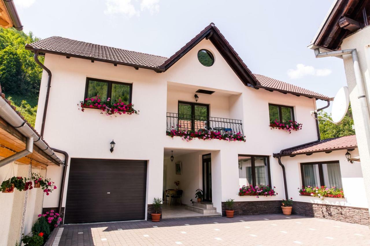 Vila Rodica Transalpina ชูกัก ภายนอก รูปภาพ