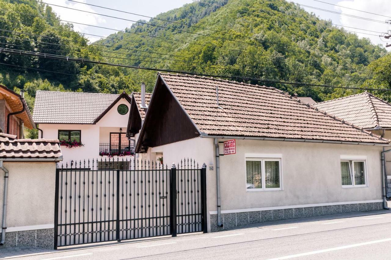 Vila Rodica Transalpina ชูกัก ภายนอก รูปภาพ