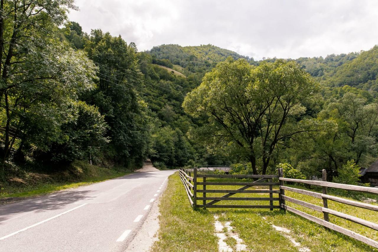 Vila Rodica Transalpina ชูกัก ภายนอก รูปภาพ