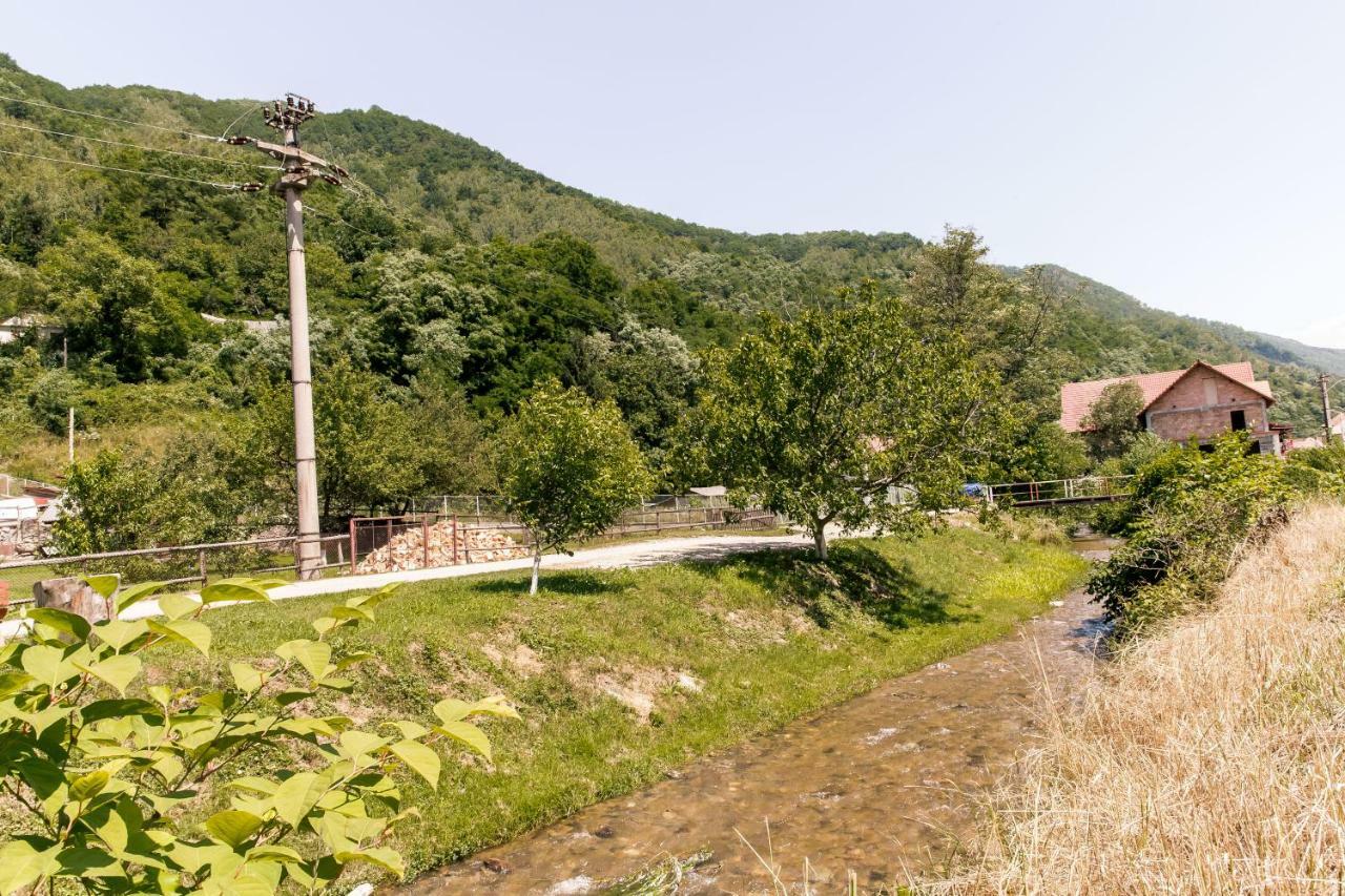 Vila Rodica Transalpina ชูกัก ภายนอก รูปภาพ